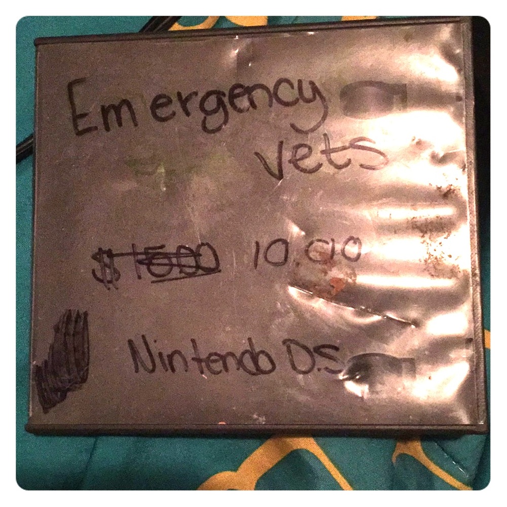 A Nintendo DS, Emergency vets